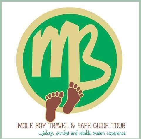 Mole Boy Travel & Safe Guide Tours